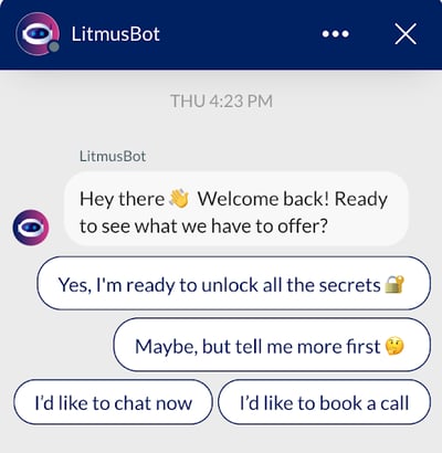 LitmusBot Messaging User Interface