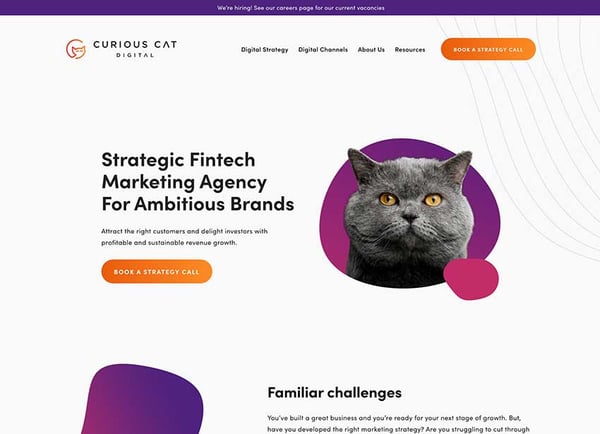 curious cat digital agency home page