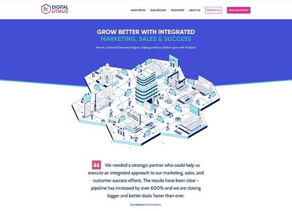 Digital Litmus agency home page
