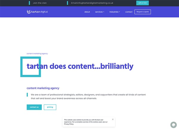 tartan digital marketing agency website home page