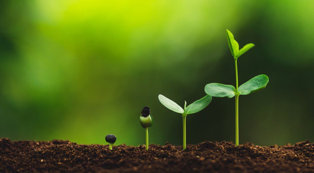 The Basics of B2B Lead Nurturing